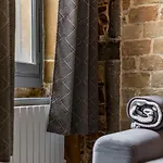 L'historique Ail Lyon